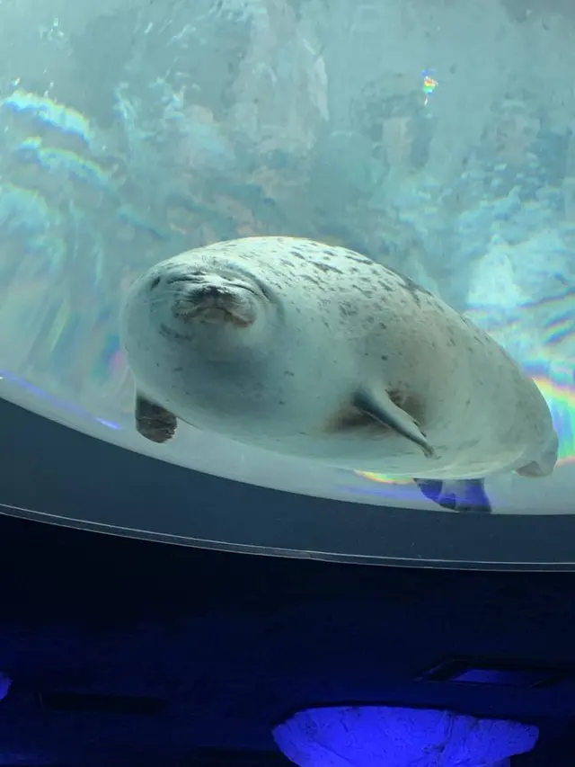 海遊館
