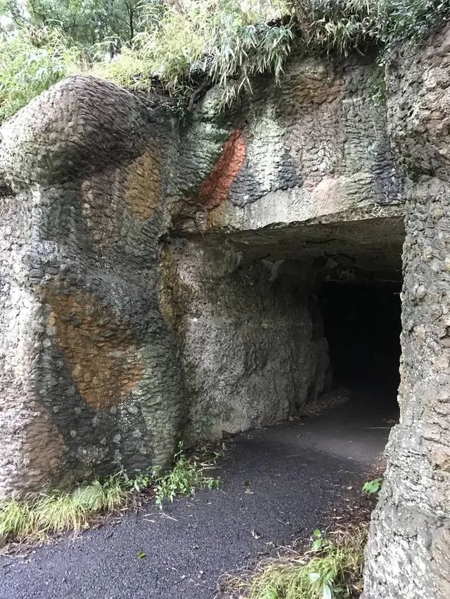 豊砲台跡