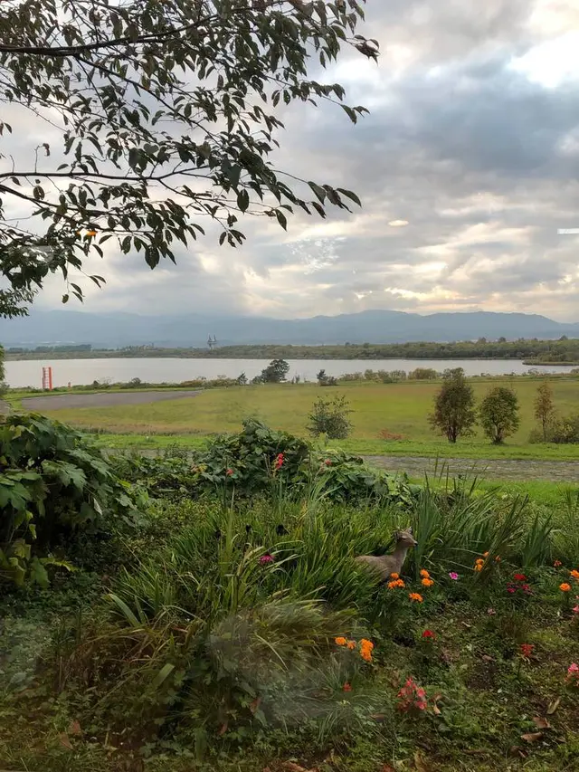 季の庭 YA-YELL（ヤ・エール）