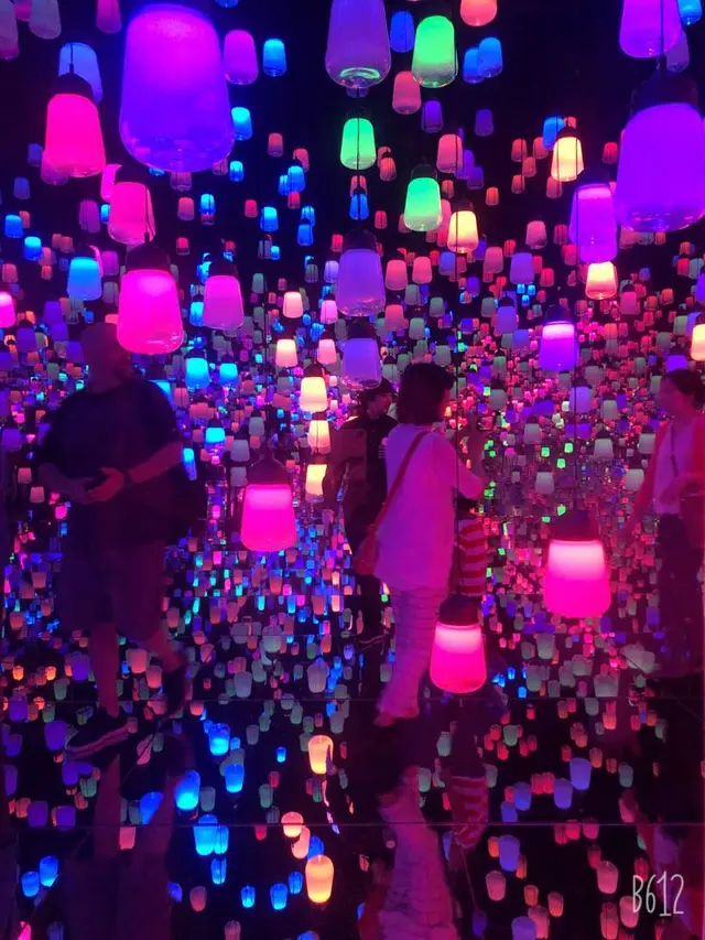 【閉業】森ビルデジタルアートミュージアム：エプソン チームラボボーダレス（MORI Building Digital Art Museum: EPSON teamLab Borderless）