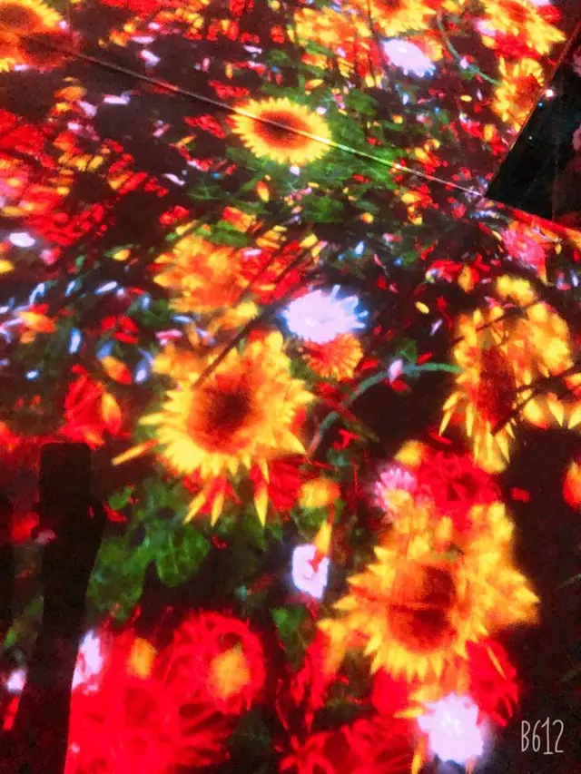 【閉業】森ビルデジタルアートミュージアム：エプソン チームラボボーダレス（MORI Building Digital Art Museum: EPSON teamLab Borderless）
