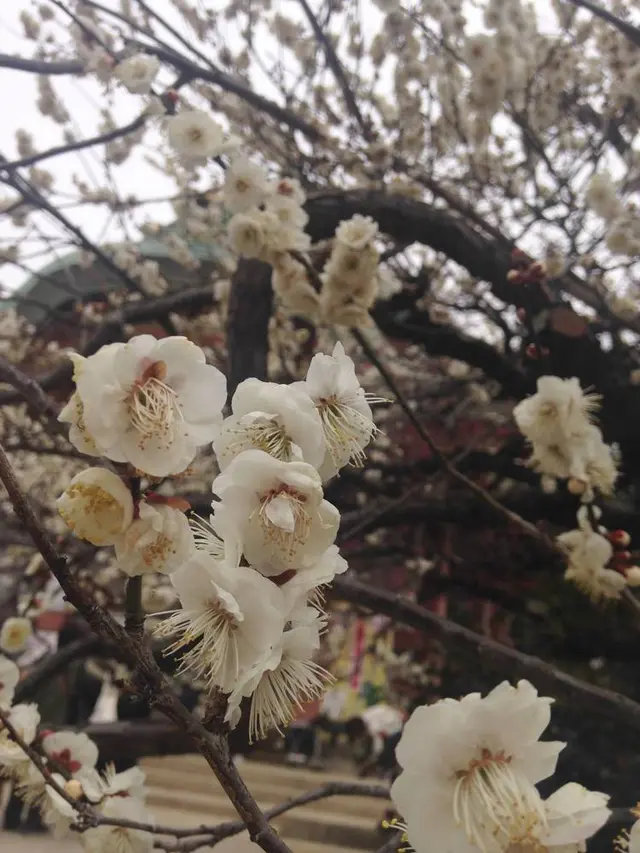 北野天満宮