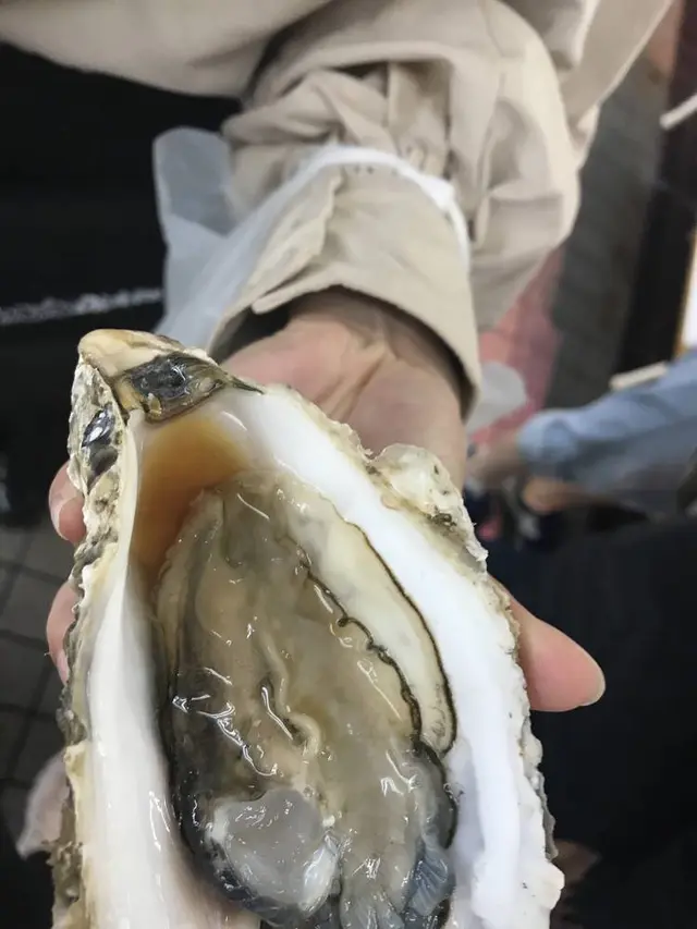 八食センター 味横丁