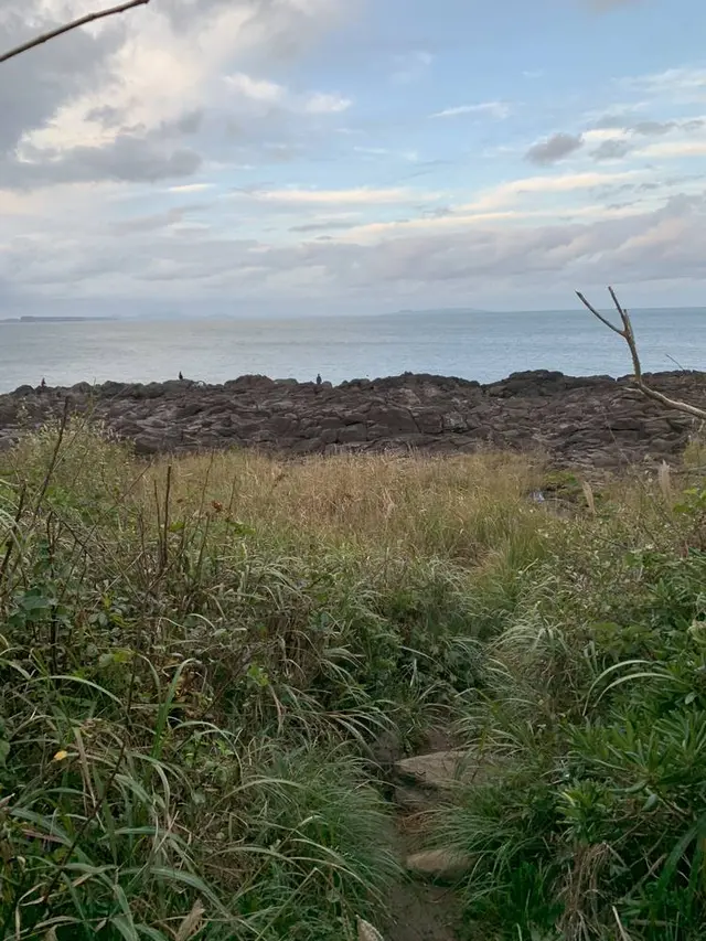 波戸岬キャンプ場