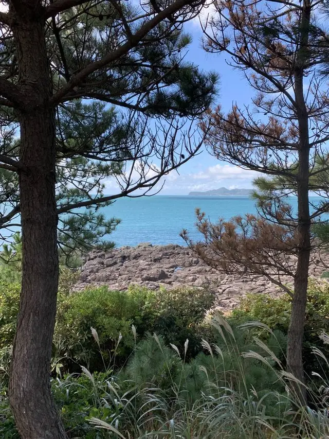 波戸岬キャンプ場