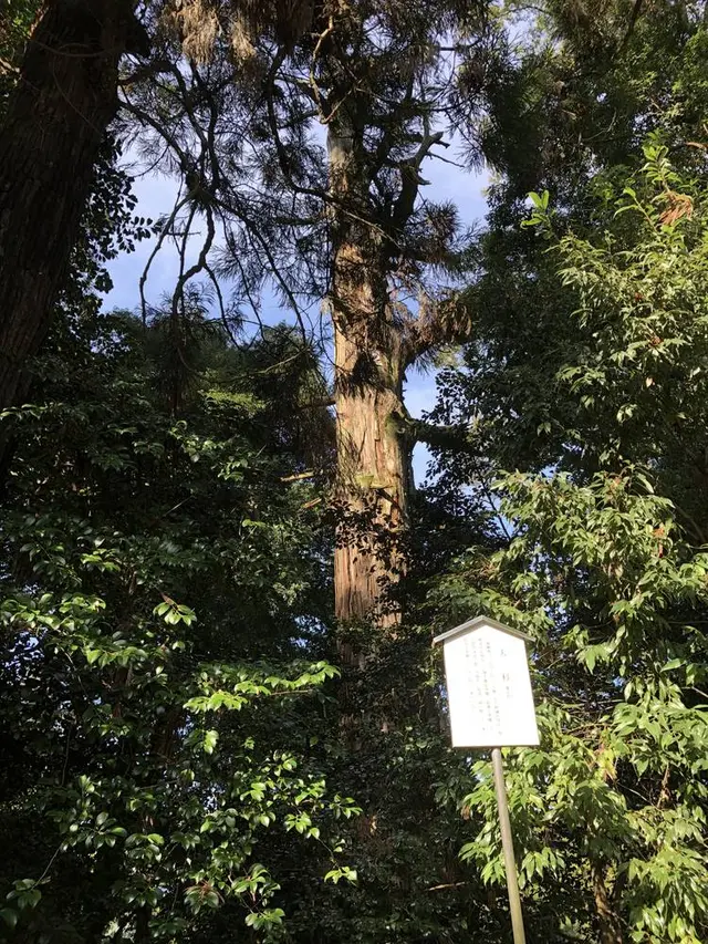 貫前神社