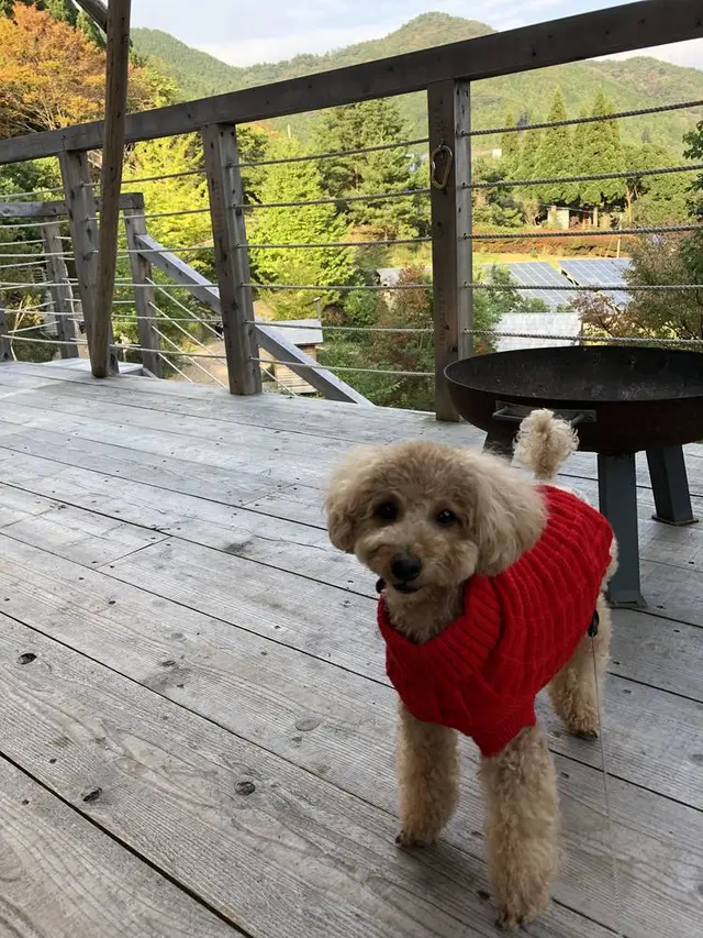 THE CANYON MOUNTAIN CAMP