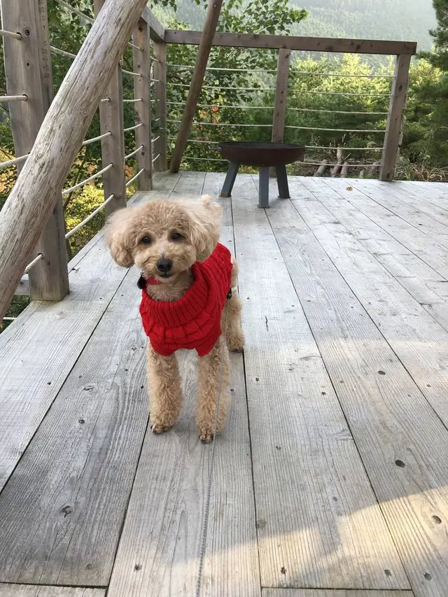 THE CANYON MOUNTAIN CAMP