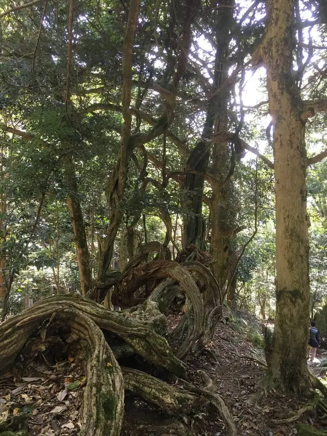 鞍馬寺