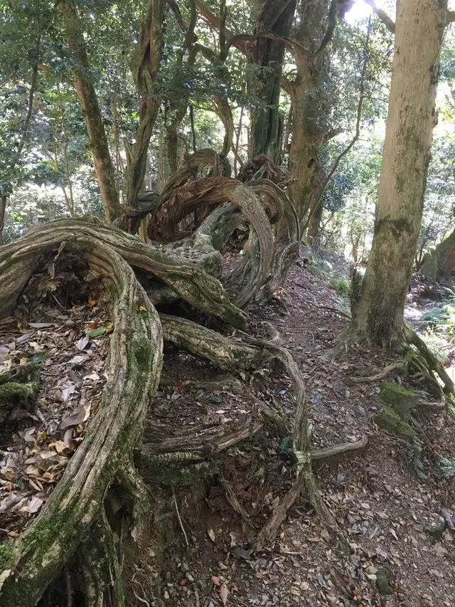 鞍馬寺