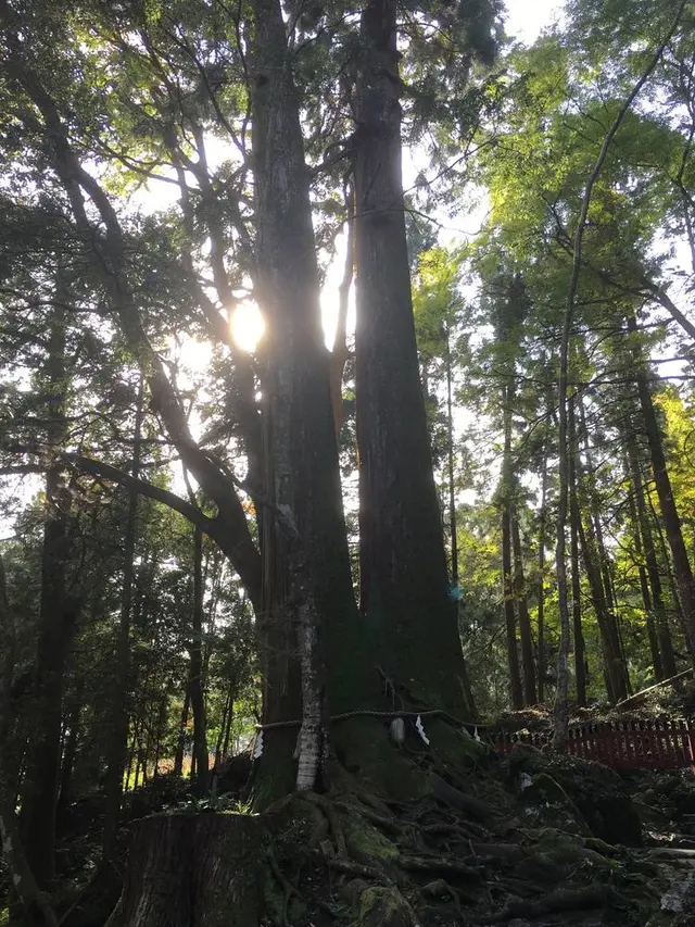 鞍馬寺