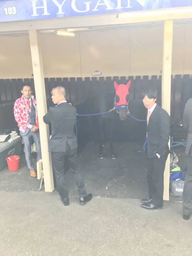 ムーニーヴァレー競馬場