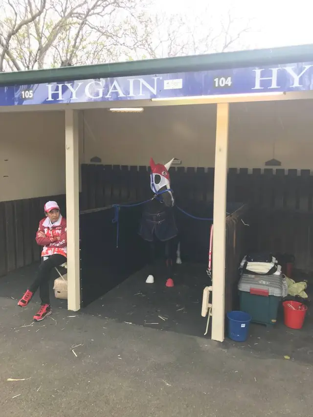 ムーニーヴァレー競馬場