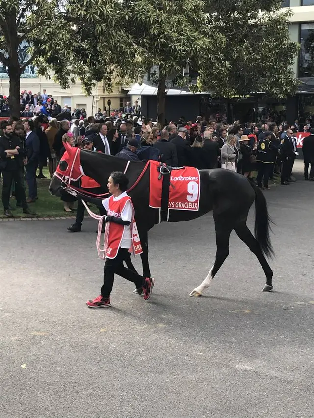 ムーニーヴァレー競馬場