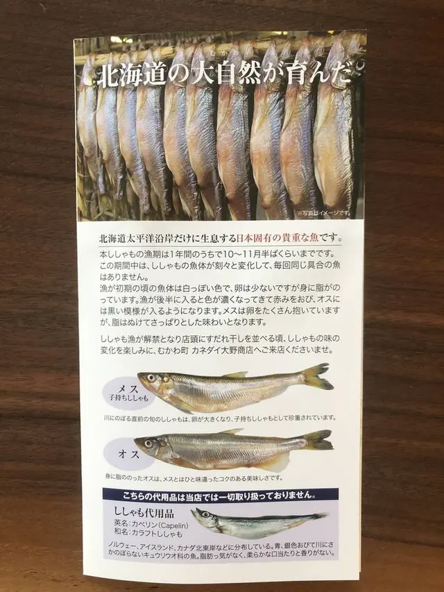 カネダイ大野商店