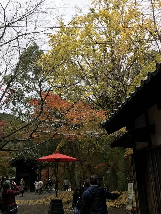 秋月城跡