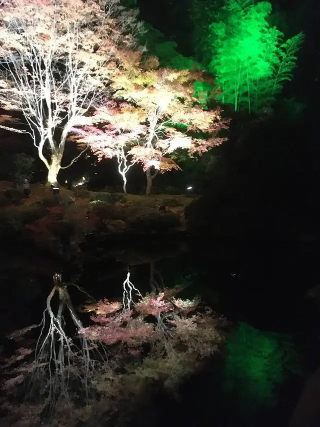 円通院