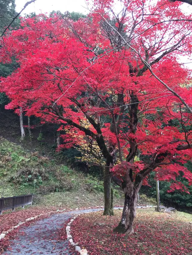 出石城下町