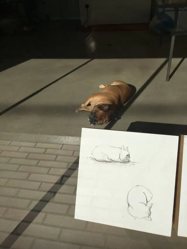 Faith Coffee Company（フェイス コーヒー カンパニー）