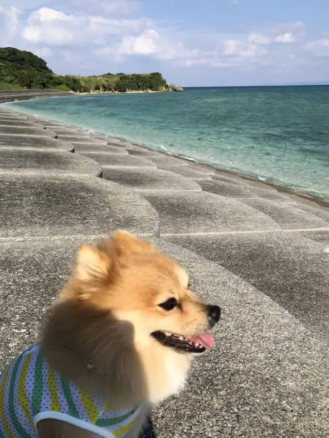 古宇利島