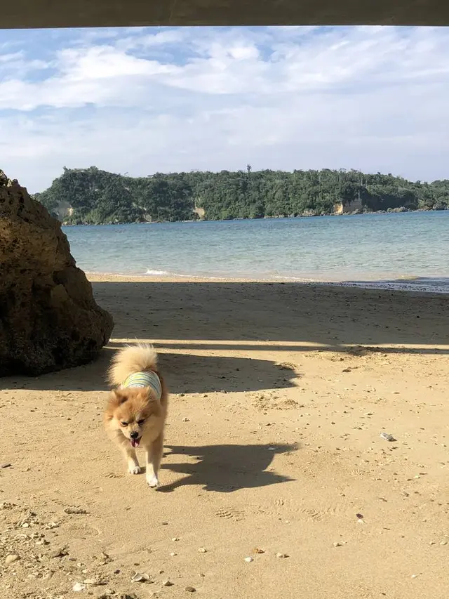 古宇利島