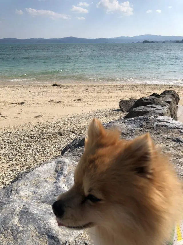 古宇利島