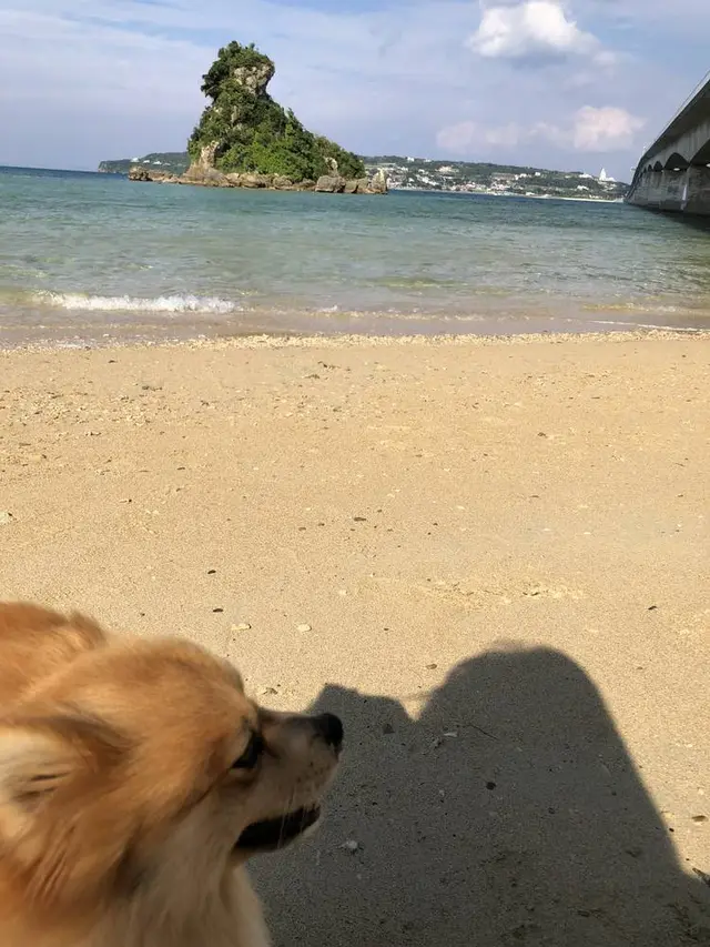 古宇利島
