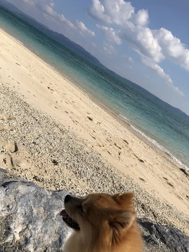 古宇利島
