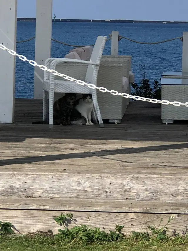 波の上うみそら公園