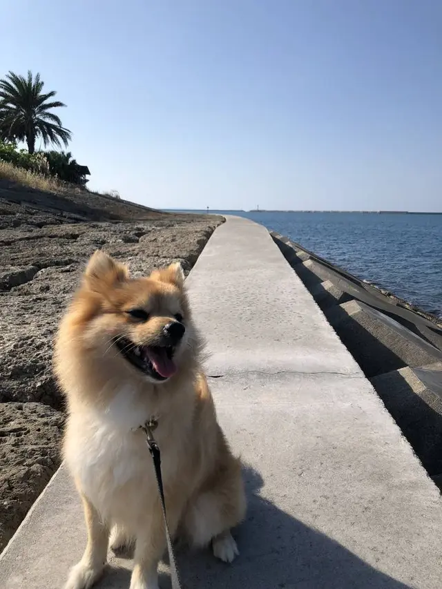 波の上うみそら公園