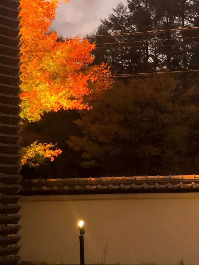 桜庵 TREATMENT & SPA