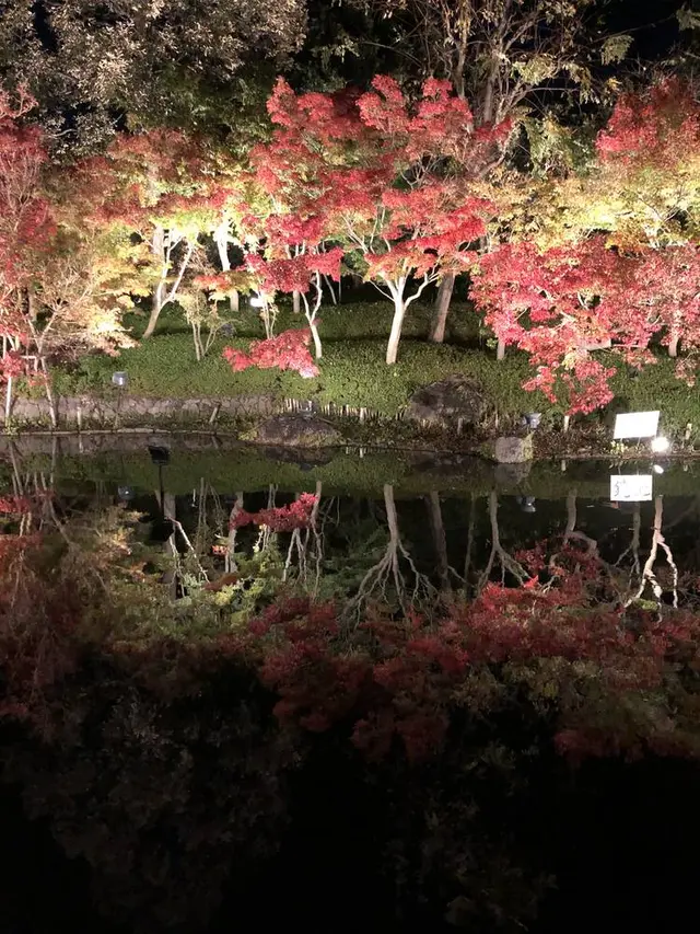 なばなの里