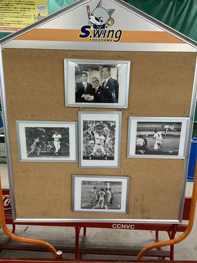 スウィングスタジアム横浜