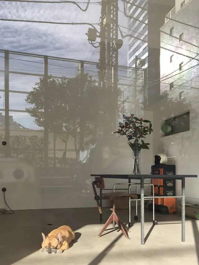 Faith Coffee Company（フェイス コーヒー カンパニー）