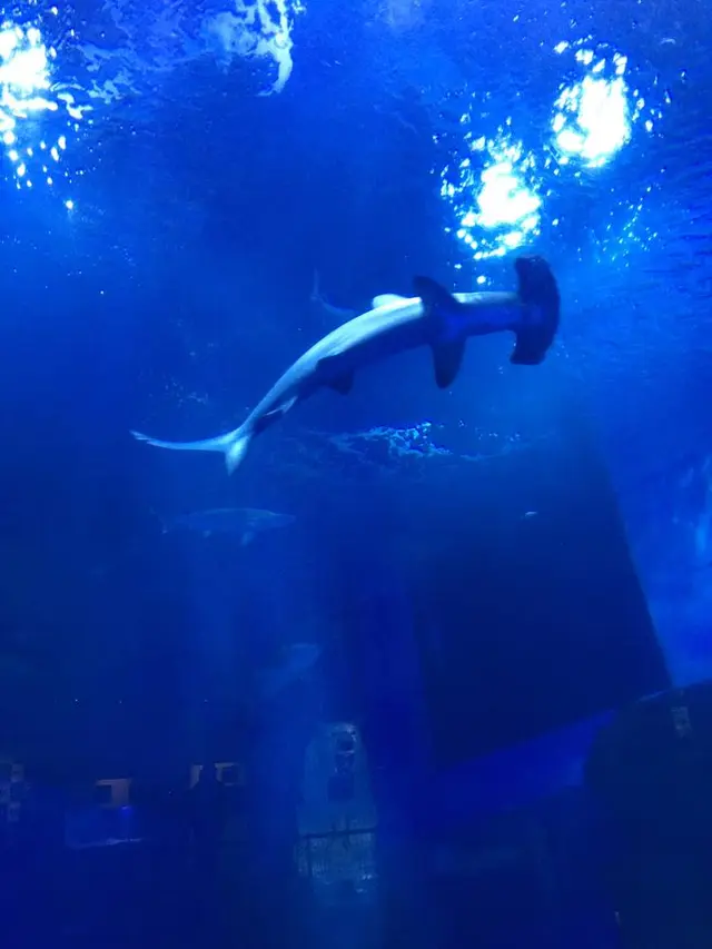 横浜・八景島シーパラダイス