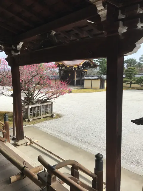 大覚寺