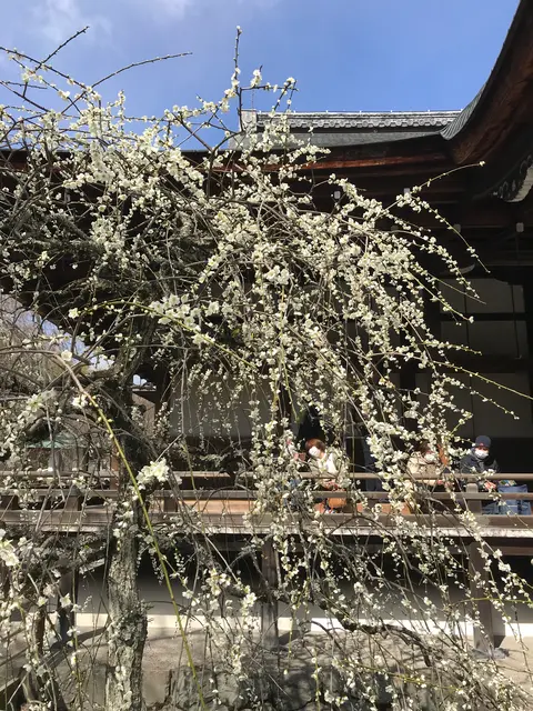 天龍寺