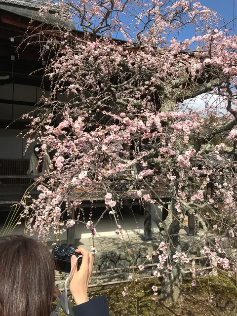 天龍寺