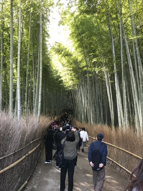 天龍寺