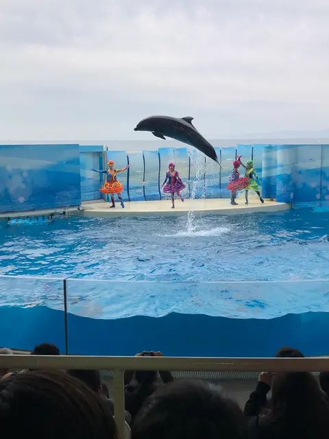 新江ノ島水族館