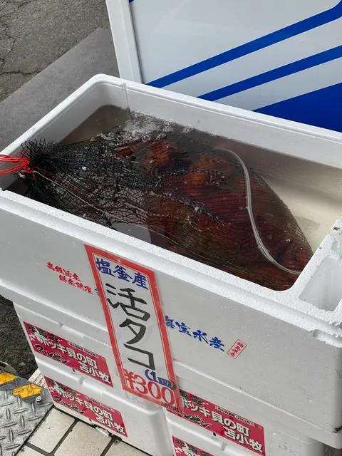 廻鮮寿司 塩釜港