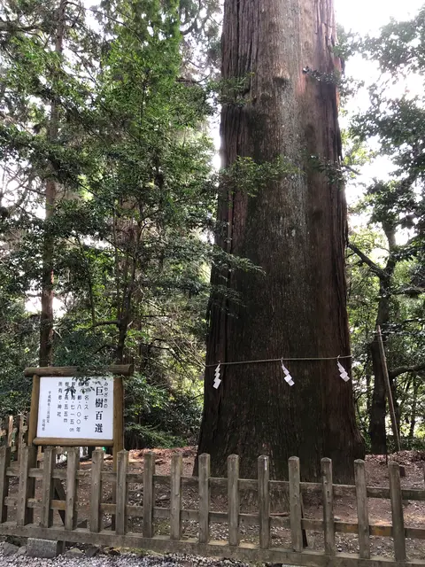 高千穂神社 神楽殿