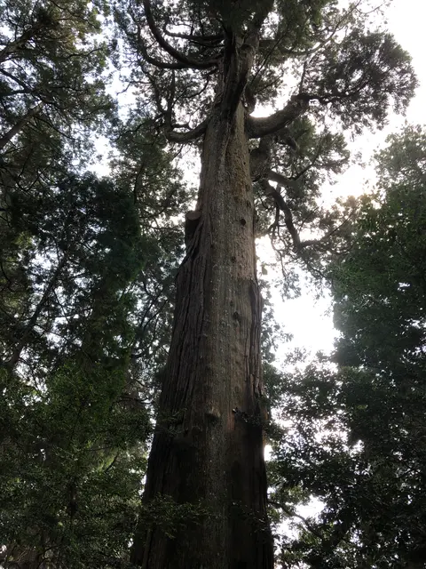 高千穂神社 神楽殿