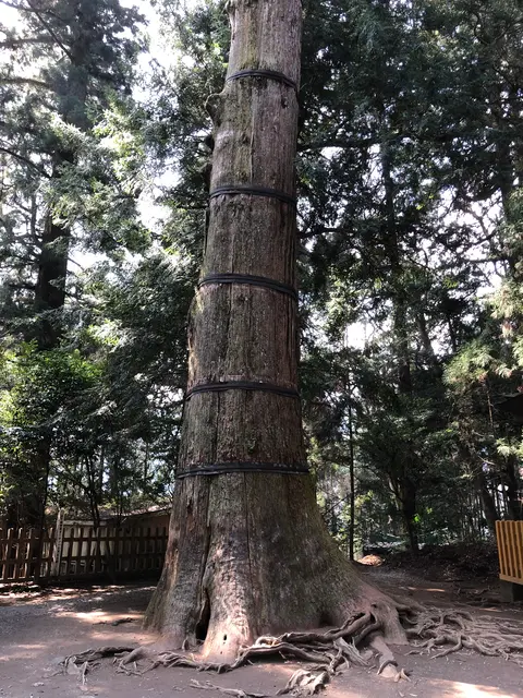 高千穂神社 神楽殿