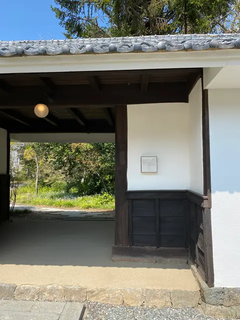 evam eva yamanashi