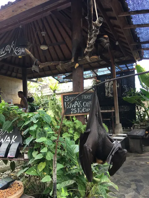 Tanah Lot