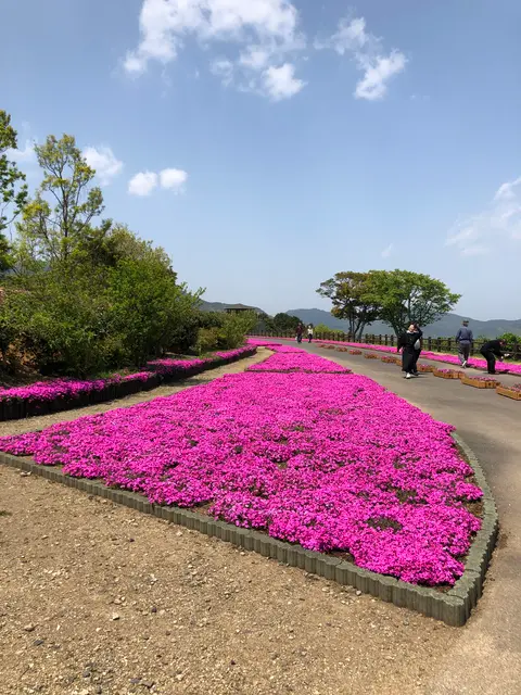 空の公園
