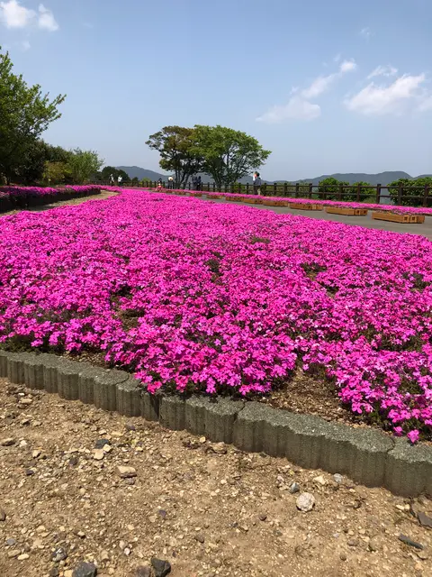 空の公園