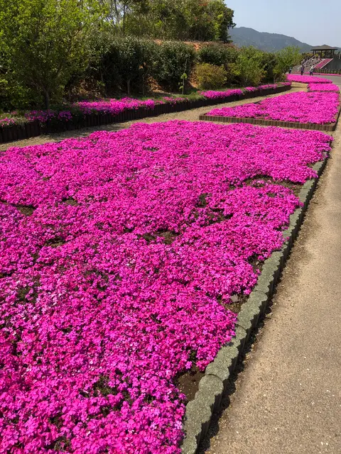 空の公園
