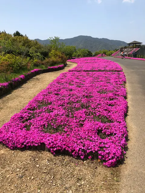 空の公園